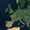 Satellite map